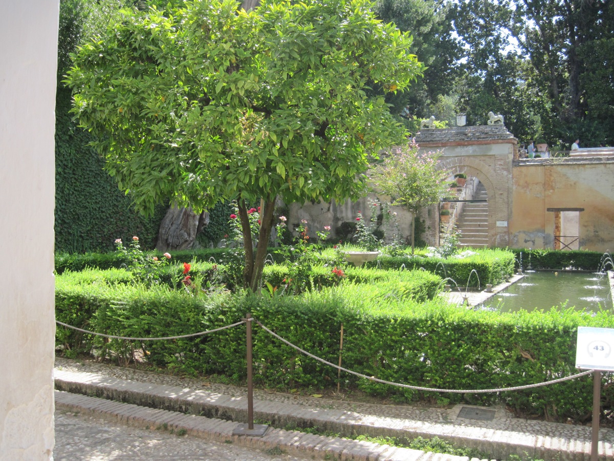 82-Alhambra- Il giardino